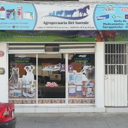 Negocio Agropecuaria Del Sureste