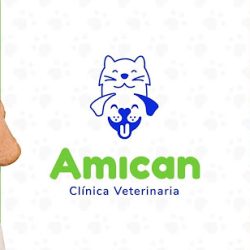 Amican Clínica Veterinaria