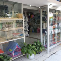 Negocio Arca De Noe Puebla