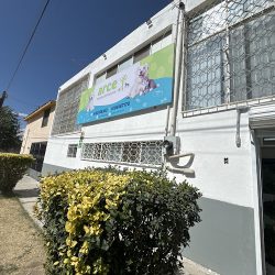Arce Hospital De Mascotas
