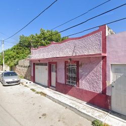 Canino's Pet Eduardo Palomo Veterinario