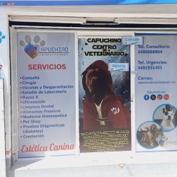 Capuchino Centro Veterinario