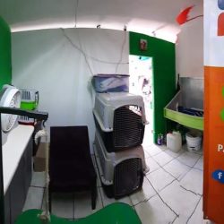 Cats & Dogs Veterinaria Spa