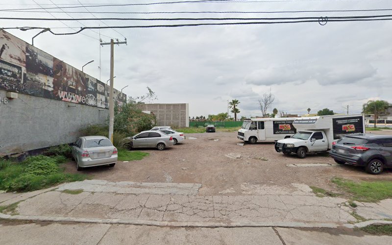 Central Veterinaria