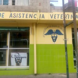 Centro De Asistencia Veterinaria