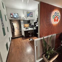 Centro De Atención Para Mascotas