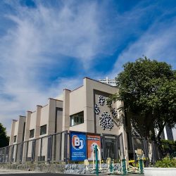 Centro De Atención Veterinaria Para Animales De Compañía