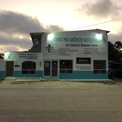 Negocio Centro Medico Veterinario