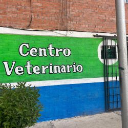 Centro Médico Veterinario Sid San Bartolo