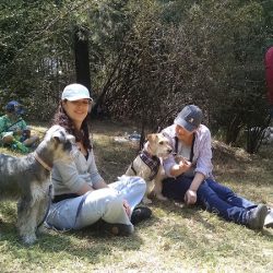 Centro Veterinario Bosques De Tarango