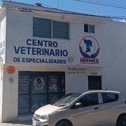 Centro Veterinario De Especialidades Hermes