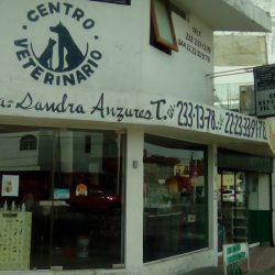 Negocio Centro Veterinario