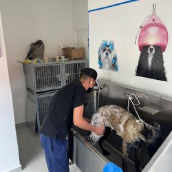 Centro Veterinario Zaragoza