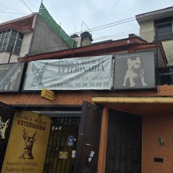 Clínica Aguilas Veterinaria