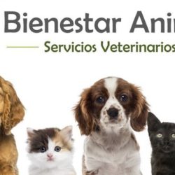 Clínica Bienestar Animal