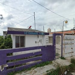 Negocio Clínica Miau