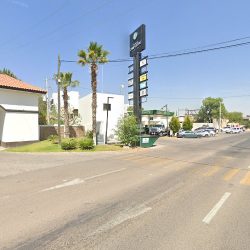 Clinica Veterinaria Allvet Campestre