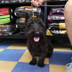 Clínica Veterinaria Amalu-can