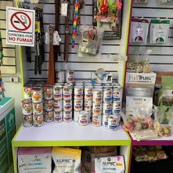 Clinica Veterinaria Animal Kingdom