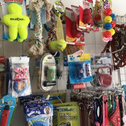 Negocio Clínica Veterinaria Aquavet