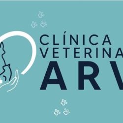 Negocio Clínica Veterinaria Arvi