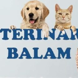 Clínica Veterinaria Balam