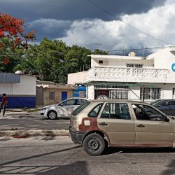 Clinica Veterinaria Campeche (cvc)