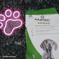 Negocio Clínica Veterinaria Canevet