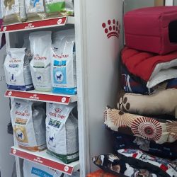 Clínica Veterinaria Cat