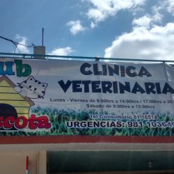 Clinica Veterinaria "club Mascota"
