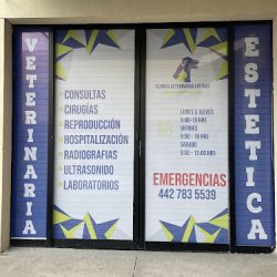 Clínica Veterinaria Colinas
