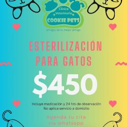 Clinica Veterinaria Cookie Pet's