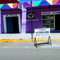 Clínica Veterinaria De Pelos