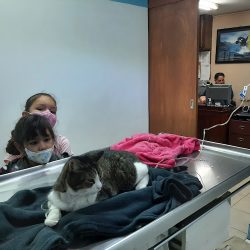 Clínica Veterinaria Del Valle