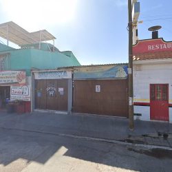 Clinica Veterinaria Dogtor