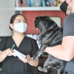 Clínica Veterinaria Dr. Altamirano Vet&dog