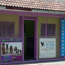 Negocio Clínica Veterinaria Dr. Ray