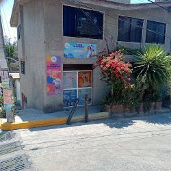 Clínica Veterinaria. El Perro, El Gato Y Yo Emergencias Las 24 Horas