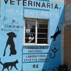 Clinica Veterinaria Healthy Pets
