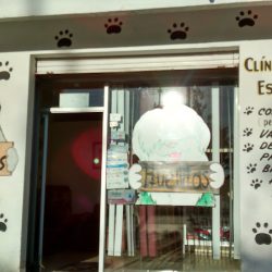 Clinica Veterinaria Huellitas