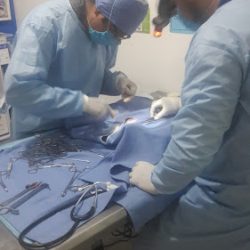 Negocio Clinica Veterinaria Imperial Canin