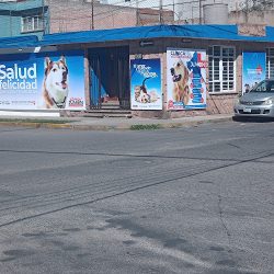 Negocio Clínica Veterinaria Jumon