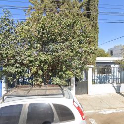 Clinica Veterinaria Jungla