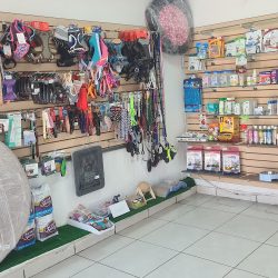 Clínica Veterinaria Katze