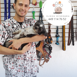 Negocio Clinica Veterinaria Lemevet
