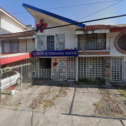 Clínica Veterinaria Mafer