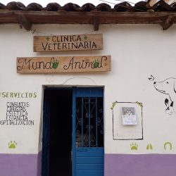 Negocio Clinica Veterinaria Mundo Animal Jaltenango