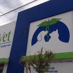 Clínica Veterinaria Navet