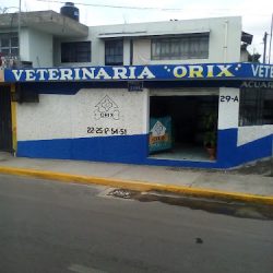 Clínica Veterinaria Orix Sur