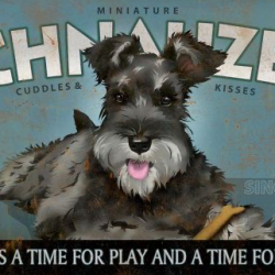 Clinica Veterinaria Paws